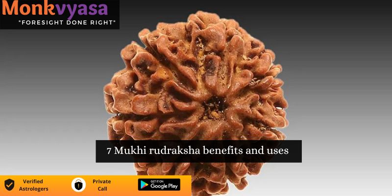 https://monkvyasa.org/public/assets/monk-vyasa/img/7 Mukhi Rudraksha.jpg